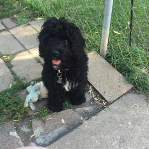 Meet your Posher, Jimmie